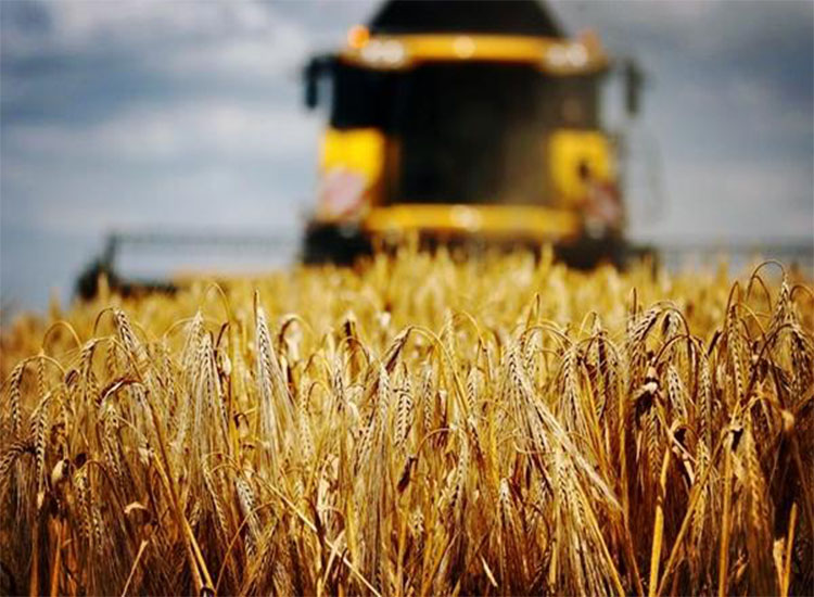 澳大麥豐收，銷路卻成了問題，印度有意接盤卻引來農(nóng)民不滿【潤康】磨煤機(jī)磨輥對此看法?