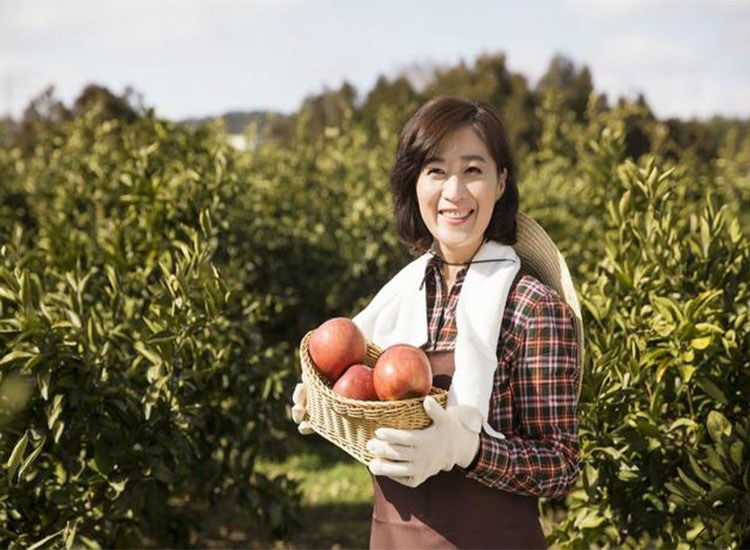 【潤康】磨煤機磨輥與您分享：互聯網巨頭紛紛賣菜，農民會不會被“割韭菜”？